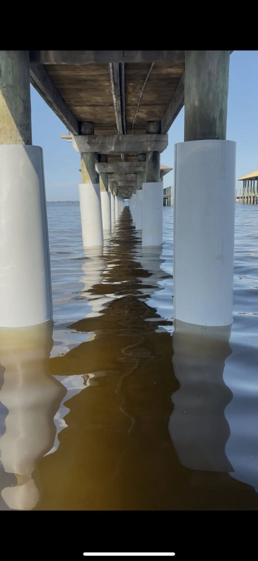 Under-dock view of completed piling restoration